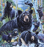 Bears in the Birches Fine Art Print
