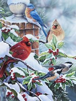 Songbirds and Holly Fine Art Print