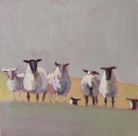 Seven Sheep Fine Art Print