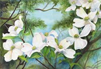 A Branch of Dogwood Fine Art Print