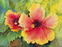 Bright Colored Hibiscus Fine Art Print