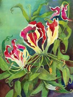 Flame Lilies Fine Art Print