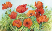 Poppies in a Field Fine Art Print