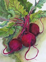 Red Beets Fine Art Print