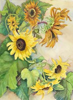 Sunflowers Reaching for the Sun Fine Art Print