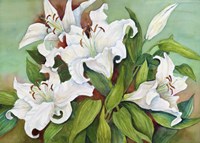 Casa Blanca Lilies Fine Art Print