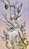 Milkweeds Fine Art Print