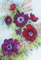 Anemonies and Waxflower Fine Art Print