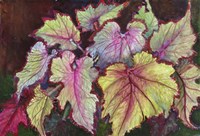 Jurassic Begonia Fine Art Print