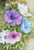 Pastel Anemones Fine Art Print