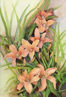 A Cluster of Lilies Fine Art Print