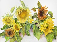 Gold and Bronze Sunflowers Fine Art Print