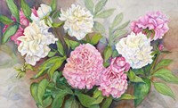 Peonies from a Friend Fine Art Print