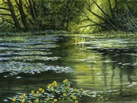 A World of Light Fine Art Print