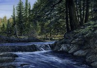 Sparkle Among the Fern Fine Art Print