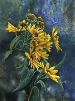 Sun Seekers Fine Art Print