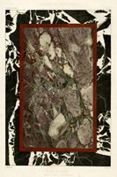 Marble Varieties III Fine Art Print