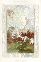 Marble Varieties IV Fine Art Print