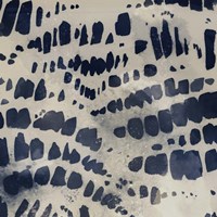 Indigo Markings II Framed Print