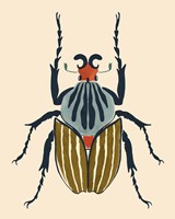 Beetle Bug I Fine Art Print
