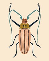 Beetle Bug IV Framed Print