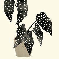 Plantling III Fine Art Print