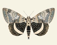 Neutral Moth I Fine Art Print