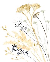 Summer's Souvenir I Framed Print