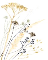 Summer's Souvenir II Framed Print