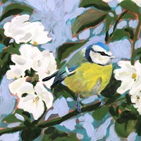 Perching I Framed Print