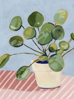 Plant on Pink I Framed Print