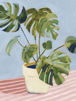 Plant on Pink II Framed Print