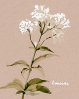 White Bonesets I Fine Art Print