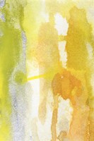 Golden Reflections I Fine Art Print