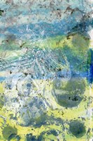 Coral Haze I Fine Art Print