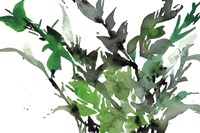 Just the Leaves I Fine Art Print