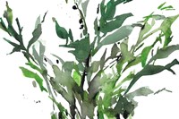 Just the Leaves II Fine Art Print