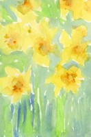 Daffodils II Fine Art Print