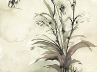 Plant of the Age I Fine Art Print