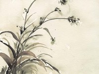 Plant of the Age II Fine Art Print