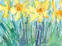 Daffodil Blooms I Fine Art Print