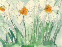 Daffodils Orange and White I Fine Art Print