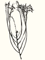 Naive Flower Sketch I Fine Art Print