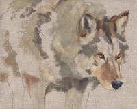 Timber Wolf I Fine Art Print