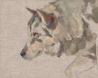 Timber Wolf II Fine Art Print