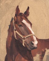 Thoroughbred IV Fine Art Print