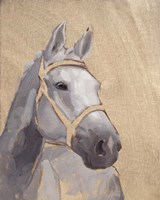 Thoroughbred VI Fine Art Print