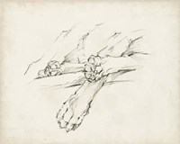 Puppy Nap II Fine Art Print