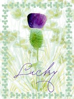 Lucky Shamrock I Fine Art Print