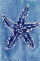 Cerulean Shells III Framed Print